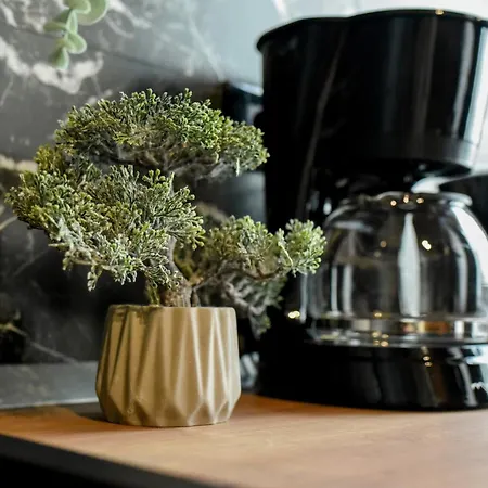 Elegant On Magheru Boulevard - The Art Of Living Simply