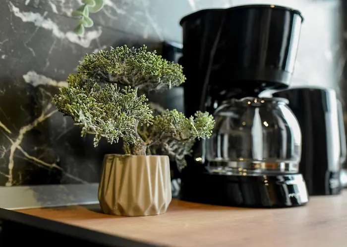 Elegant On Magheru Boulevard - The Art Of Living Simply